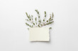© Yaroslav Danylchenko/Stocksy - White piece of paper with decorative small leaves