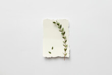 White Card With Leaves