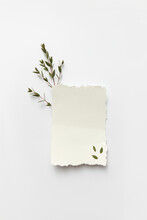 White Piece Of Paper With Leaves