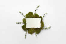White Piece Of Paper With Moss And Green Leaves