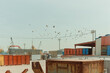 © Jeongho Byeon/Stocksy - A flock of birds flocked to the port