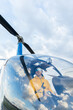 © Marcos Osorio/Stocksy - Helicopter pilot with sunglasses preparing to fly