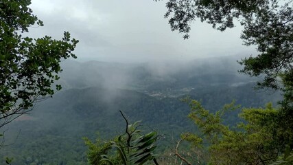 Wall Mural - Fast moving clouds rising along misty foggy tropical rainforest mountains, view from mountain peak, Gunung Panti, Malaysia.