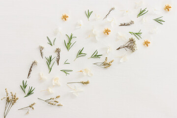 Wall Mural - Top view image of flowers composition on white wooden background .Flat lay