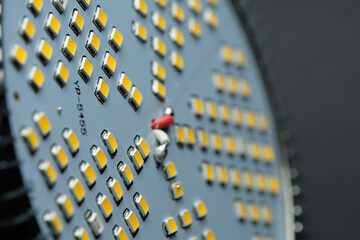 LED phytolamp for growing seedlings. Close-up, macro, black background. Grow lamp. Leds.
