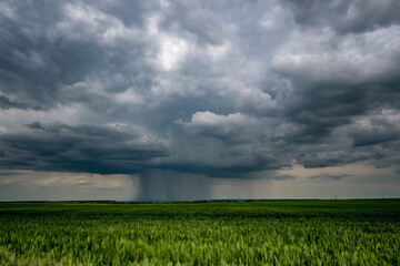 Wall Mural - landscape with dark sky with rain clouds before storm. thunderstorm front