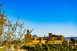 Spring tree and Alcazaba fortress in Antequera, Spain.