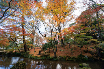  美しく紅葉した金沢の観光名所・兼六園