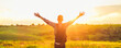© Shopping King Louie - Traveler with raised hands standing on a hill in green grass and enjoying a majestic sunset, Successful man enjoying triumph
