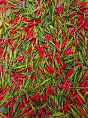 Wall Mural - Bird's eye chilli, green and red colour chillies