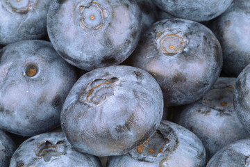 Wall Mural - wild blueberry berry background, close up