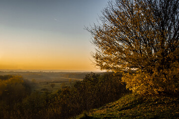 sunset over the forest