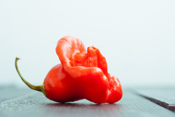 Wall Mural - chili on black wood table, side view