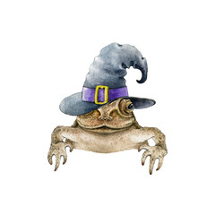 Funny toad or frog in witch hat. Hand drawn watercolor illustration. Funny peeking out frog in wizard hat. Single front view halloween element. Halloween toad isolated on white background