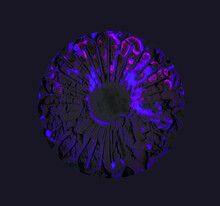 Dark Flower With Grunge Texture And Glowing Blue Light