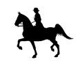 black silhouette of a woman on a tennessee horse, isolated on a white background