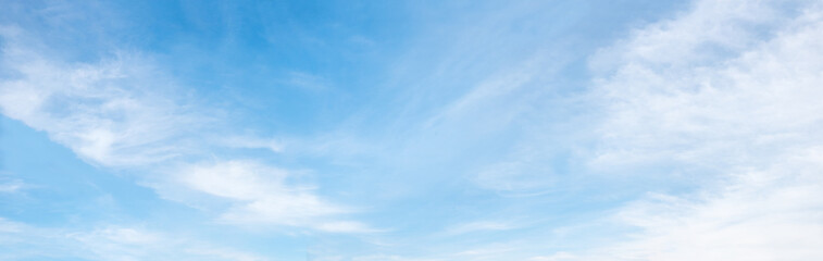 Wall Mural - fluffy cirrus clouds at light panorama sky background