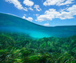 © dam - Seagrass underwater sea and blue sky with cloud, split view over and under water surface, Mediterranean sea