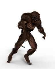 Wall Mural - 3D illustration of an aggressive looking werewolf walking isolated on white.