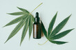 Cannabis oil in the dropper bottle with green leaves on white background. Alternative medicine concept.