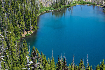 Wall Mural - aerial view of blue forested lake shore edged by green fir trees.