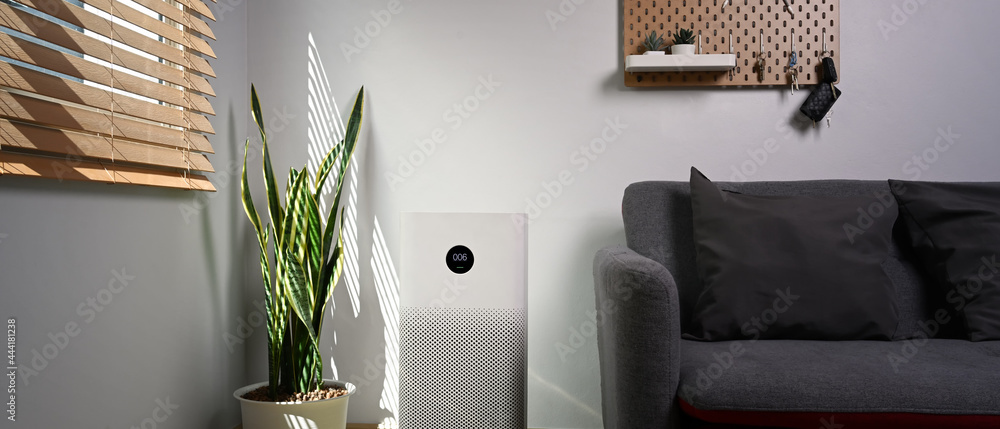 Air purifier with houseplant on the floor. Air pollution concept. - obrazy, fototapety, plakaty 