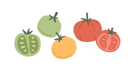 Wall Mural - Fresh whole tomato vegetables and their cut half pieces of different color. Red, green and yellow veggies composition. Healthy natural food. Flat vector illustration isolated on white background