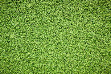 Canvas Print - top view green grass texture for background