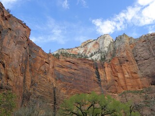 Wall Mural - Awe-inspiring steep and colorful red and white canyon walls  on a sunny day in zion national park, utah