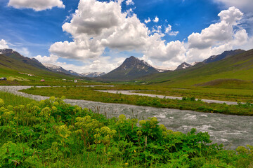 Wall Mural - The scenery of fresh and bright summer green mountains and grass, wild flowers and streams with Icelandic country roads. on vacation trip blue sky and beautiful clouds