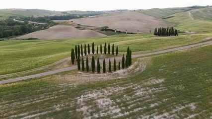 Sticker - Group of Cypresses in Tuscany. Circular aerial view of Orcia Valley, Italy