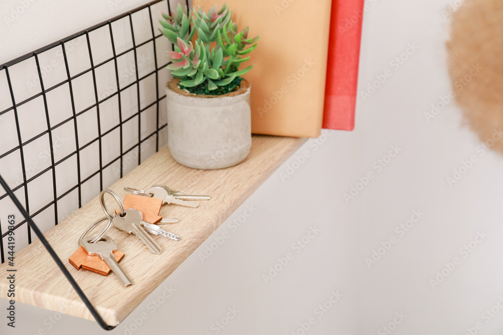 Shelf with keys, houseplant and books hanging on light wall