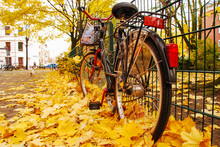 A Bike Parked Along Pavement With Golden Leaves In Autumn