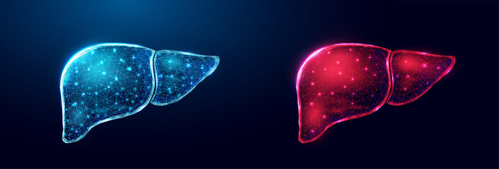 Human liver. Wireframe low poly style. Concept for medical, treatment of the hepatitis.  Abstract modern 3d vector illustration on dark blue background.