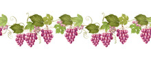 Seamless Border Of Pink Grape Vines, Hand Drawn Illustration On White Background