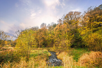 Wall Mural - Colorful nature in the fall with a small creek