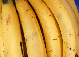 close-up bunch of organic bananas