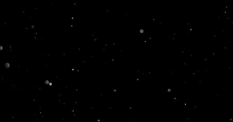 Wall Mural - natural organic dust particles floating on black background. dynamic dust particles randomly float i