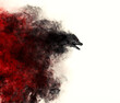 Illustration of a Werewolf emerging out of a black and red cloud of smoke