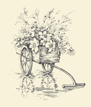 Garden Wheelbarrow With Flowers. Graphic Gardening Flower Cart Isolated