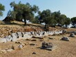 © Konstantinos - View of the ruins of the ancient sanctuary of Poseidon, on the island of Poros, in Greece
