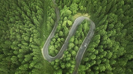 Wall Mural - Aerial view of a road in the middle of the forest
