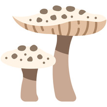 Parasol Mushroom Icon