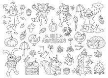 Black And White Vector Autumn Animals Set. Cute Outline Woodland Collection. Fall Season Icons Pack.  Funny Forest Line Illustration Or Coloring Page With Hedgehog, Fox, Bird, Deer, Rabbit, Bear.