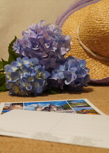 Blue Hydrangea Bouquet, Postcards And Straw Hat On Table. Summer Travel. Memories. 
