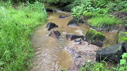 Canvas Print - Ruisseau dans la Nièvre, Bourgogne