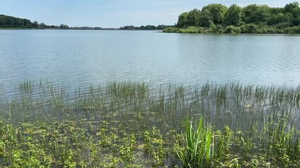 Poster - Etang de Vaux dans la Nièvre, Bourgogne