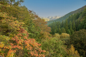 Wall Mural - 兵庫県・山なみの秋の風景
