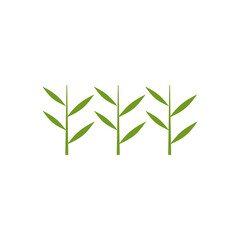 Poster - Bamboo tree logo design template