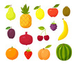 Vector set of cartoon tropical fruits and berries. Flat fruits, watermelon, apple, lemon, banana, strawberry, pear and orange isolated vector illustration